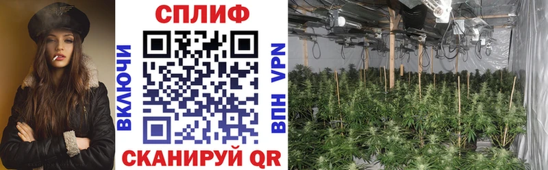 Наркошоп купить COCAIN A PVP ГАШИШ Марихуана МЕФ Мензелинск