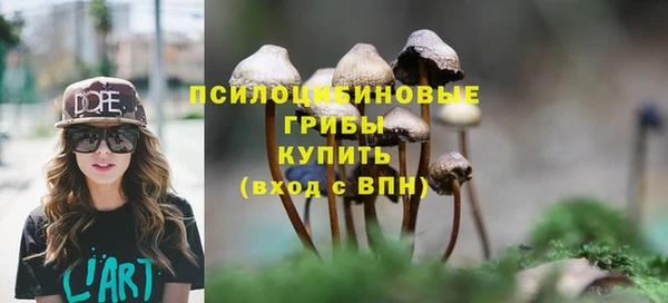 каннабис Богородицк