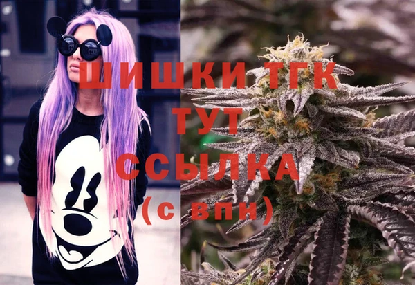 гашиш Богданович