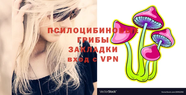 ПСИЛОЦИБИНОВЫЕ ГРИБЫ Богородск