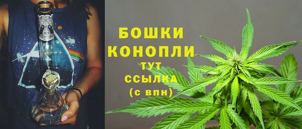 ПСИЛОЦИБИНОВЫЕ ГРИБЫ Богородск