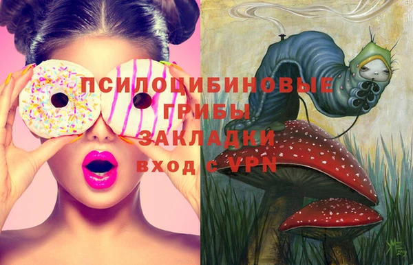 скорость Бронницы